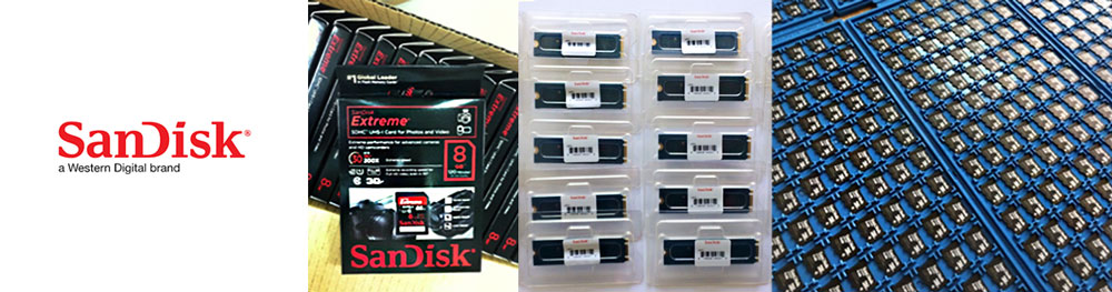 sandisk sandisk