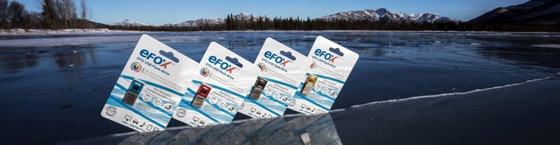 eFOX memory cards eFOX memory cards
