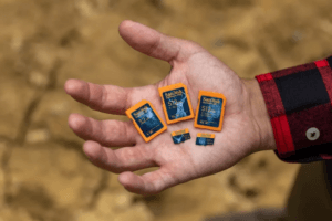 SD Card