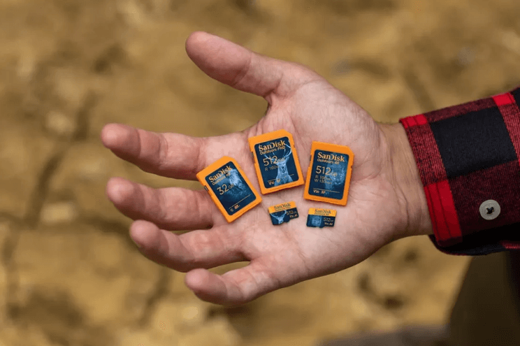 SD Card